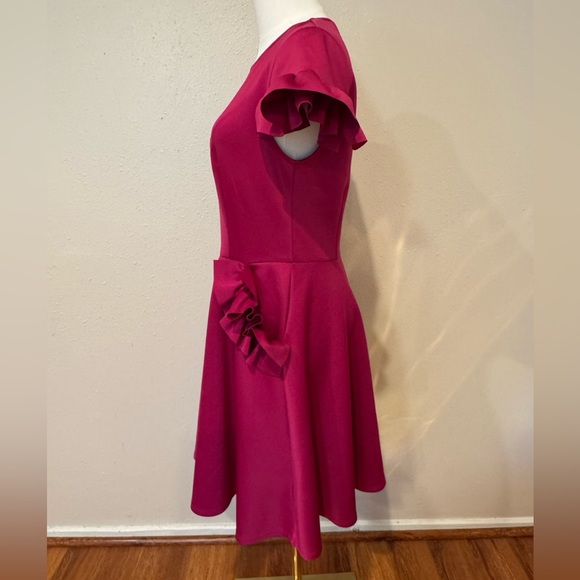 TED BAKER Ruffle Sleeve Mini Dress - Picture 7 of 15